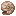 Nautilus Shell.png