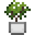 Thumbnail for version as of 10:59, 31 January 2024
