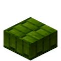 Thumbnail for version as of 10:59, 31 January 2024