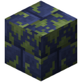 Thumbnail for version as of 10:59, 31 January 2024