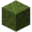 Moss Block