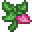 Naive Mint.png