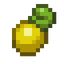 Shuca Berry.png