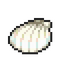 Tropical Shell.png