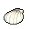 Tropical Shell.png
