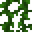 Vines
